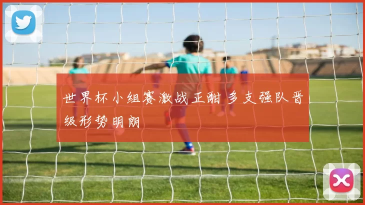 世界杯小组赛激战正酣 多支强队晋级形势明朗