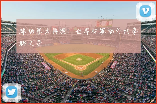 球场暴力再现：世界杯赛场外的拳脚之争