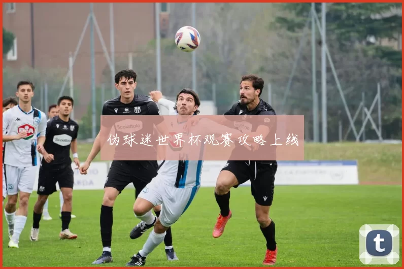 伪球迷世界杯观赛攻略上线