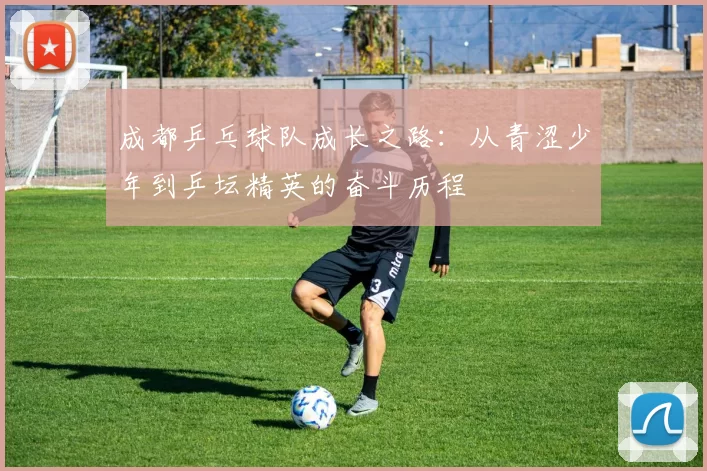 成都乒乓球队成长之路：从青涩少年到乒坛精英的奋斗历程
