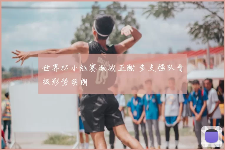 世界杯小组赛激战正酣 多支强队晋级形势明朗