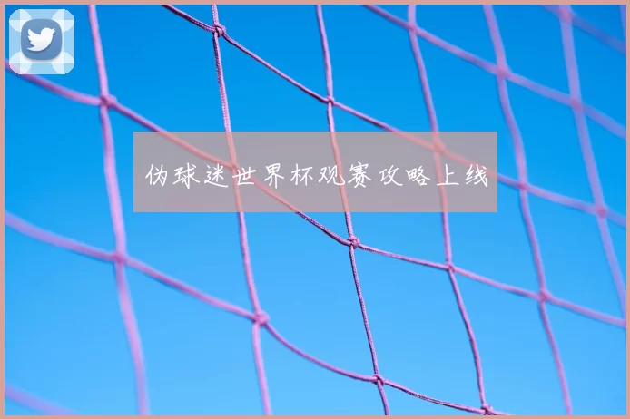伪球迷世界杯观赛攻略上线