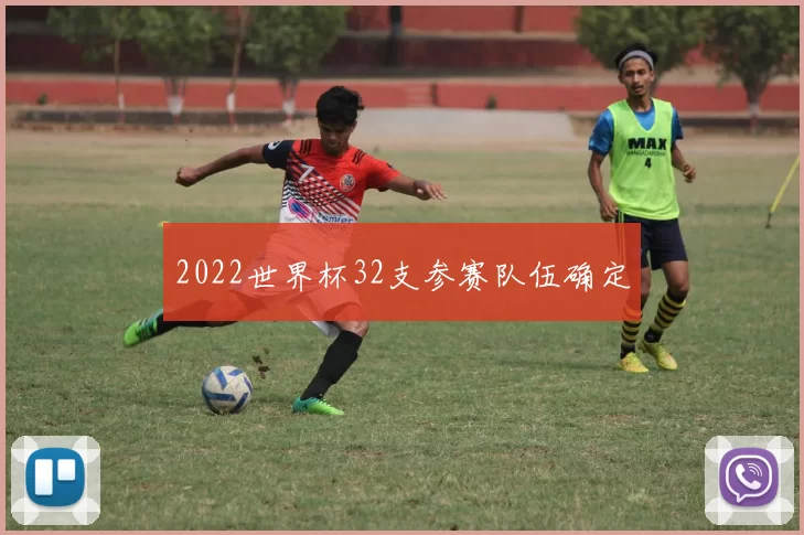 2022世界杯32支参赛队伍确定