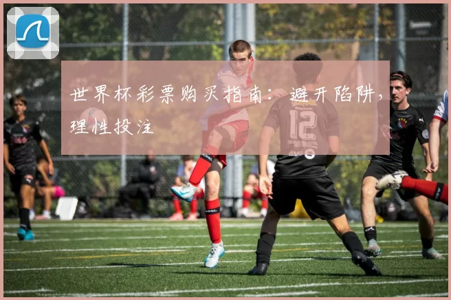世界杯彩票购买指南:避开陷阱,理性投注
