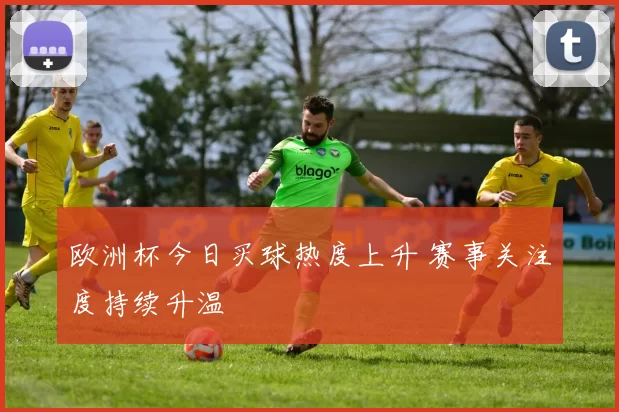 欧洲杯今日买球热度上升 赛事关注度持续升温