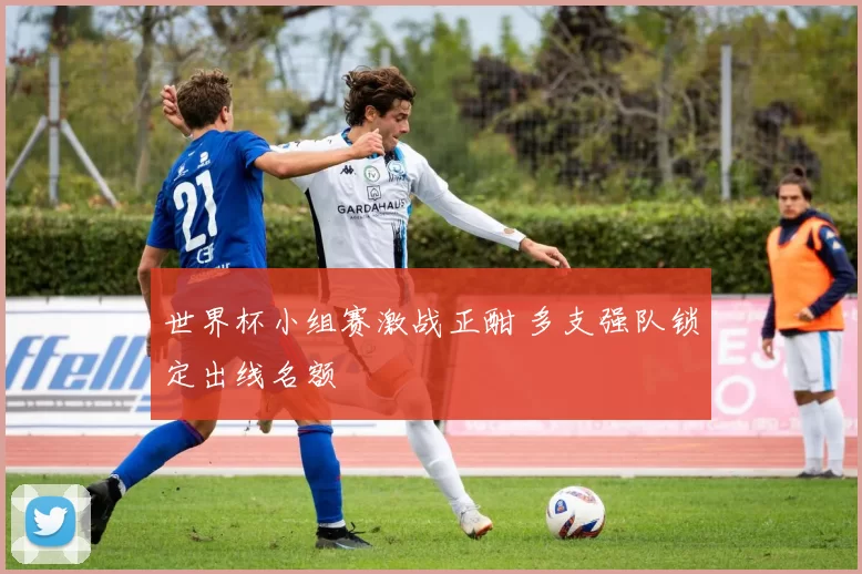 世界杯小组赛激战正酣 多支强队锁定出线名额