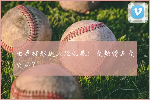世界杯球迷入场乱象：是热情还是失序？