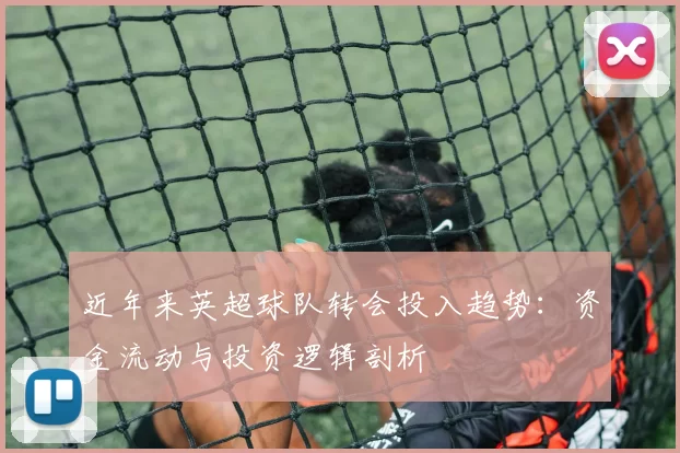 近年来英超球队转会投入趋势:资金流动与投资逻辑剖析