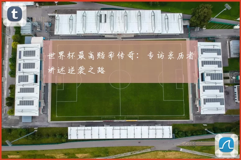 世界杯最高赔率传奇:专访亲历者讲述逆袭之路
